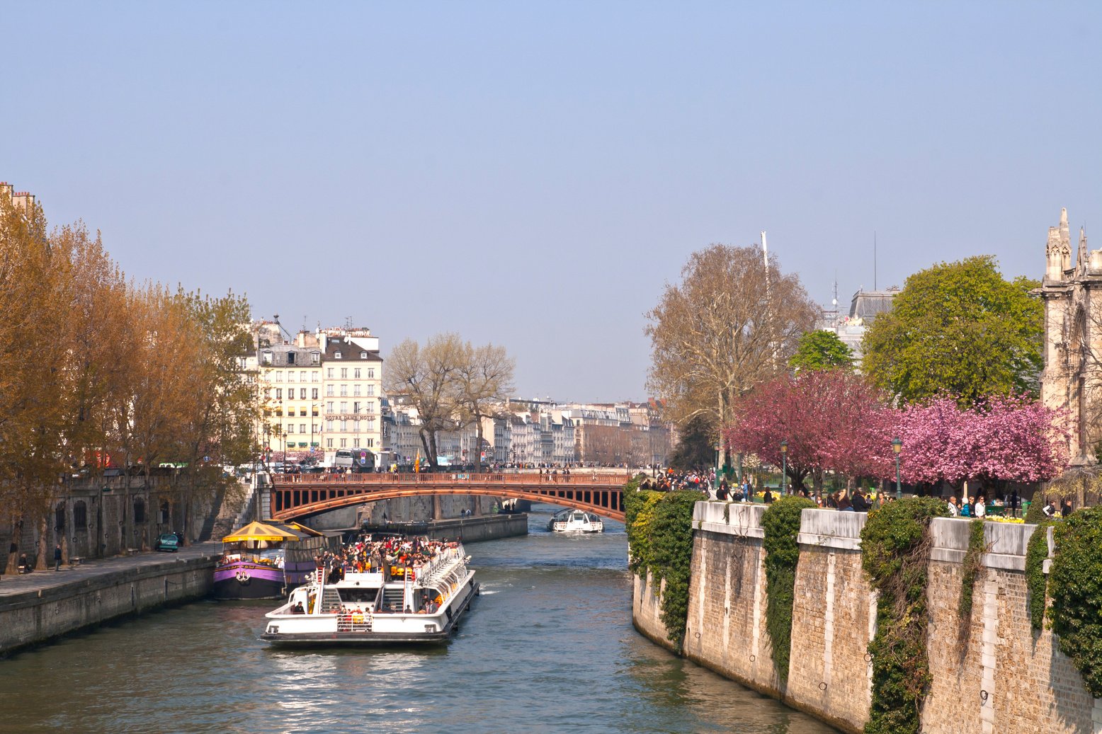 tourist cruise in River Seine Paris